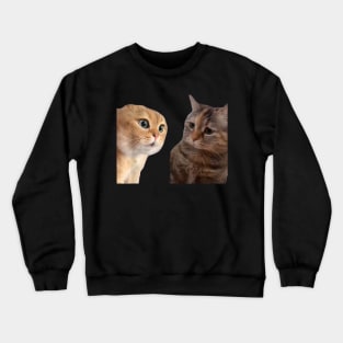 Two Cats Talking Meme, Cat Meme, Funny Cat Crewneck Sweatshirt